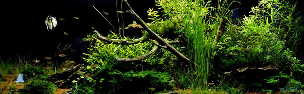 Exemple Nombre 28304