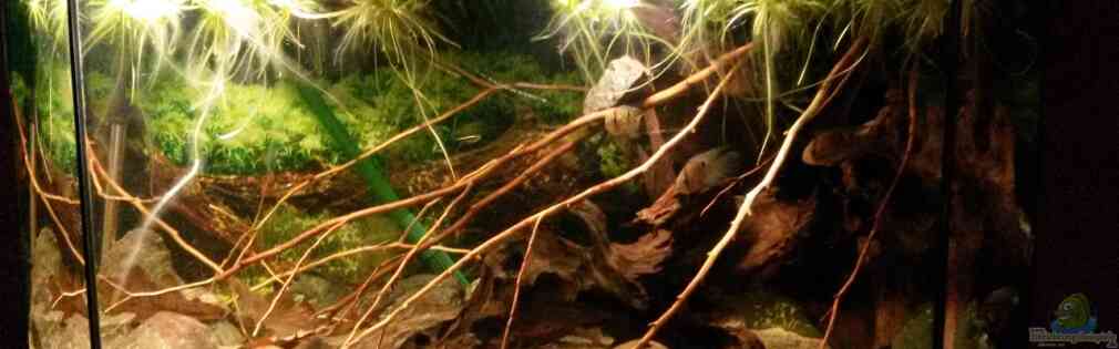 Exemple Nombre 29607