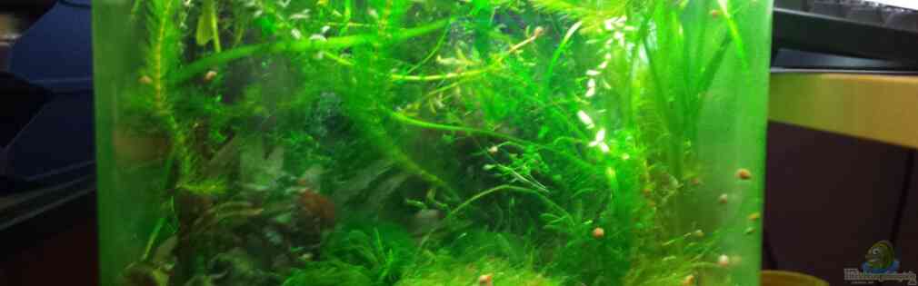 Exemple Nombre 29785