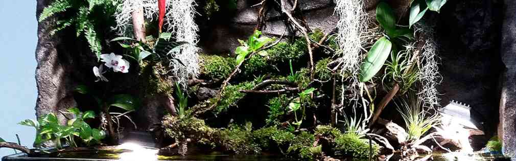 Exemple Nombre 30293