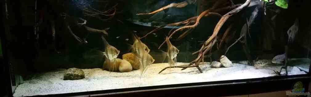 Exemple Nombre 30594