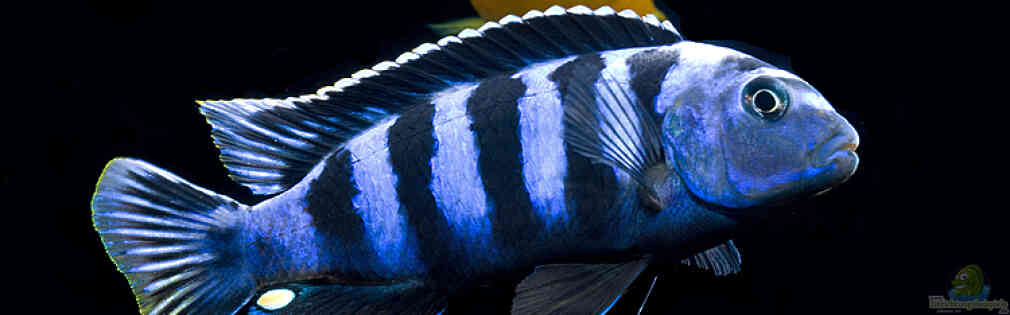 Exemple Nombre 30856