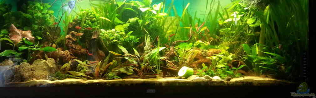 Exemple Nombre 30859