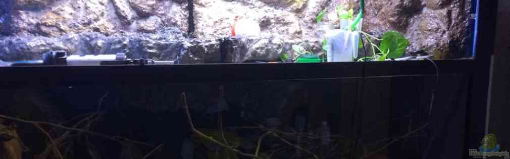 Exemple Nombre 30947