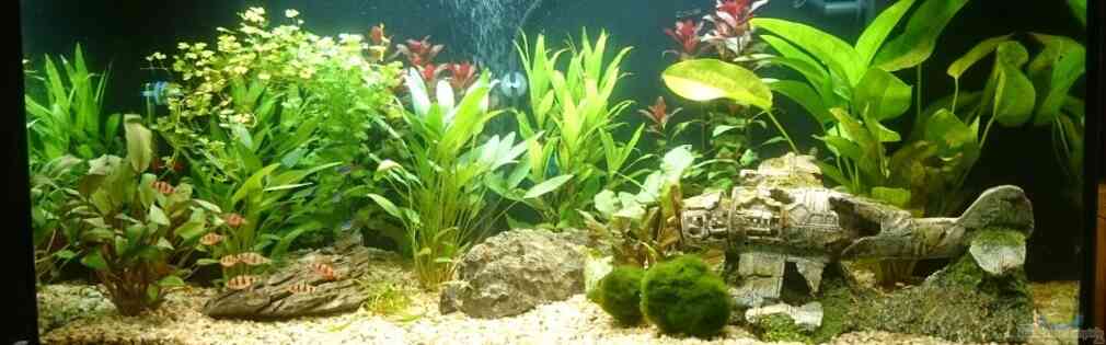 Exemple Nombre 30970