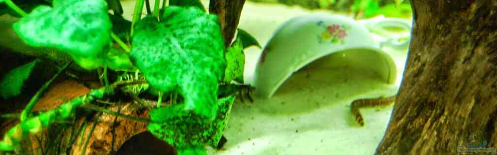 Exemple Nombre 31084