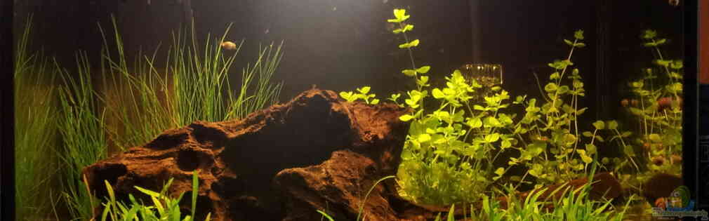 Exemple Nombre 31115