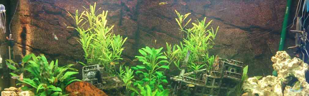 Exemple Nombre 31151