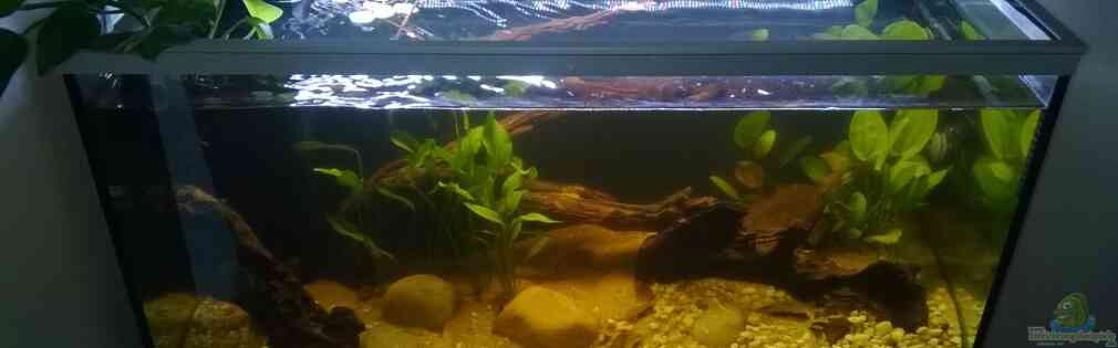 Exemple Nombre 31275