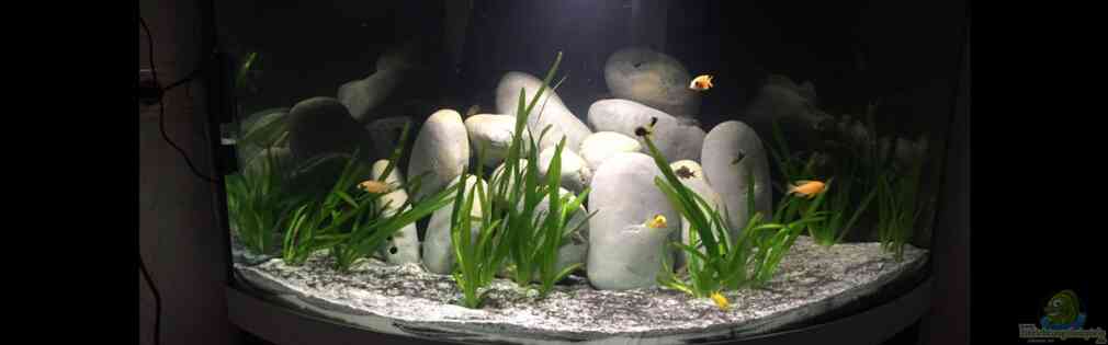 Exemple Nombre 31838