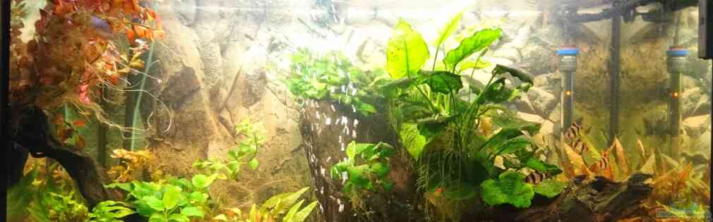 Exemple Nombre 31945