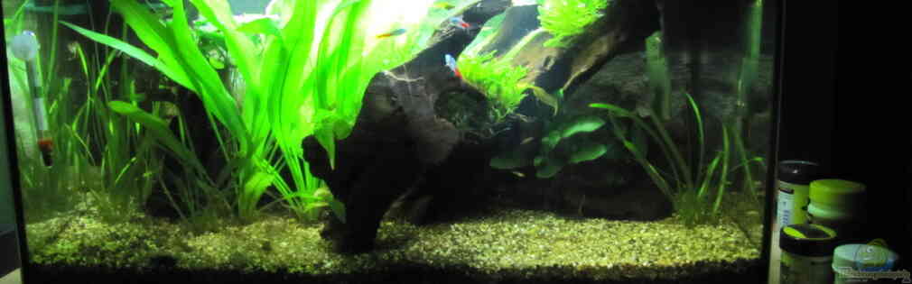 Exemple Nombre 32309