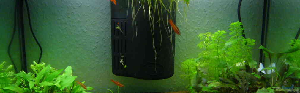 Exemple Nombre 32405