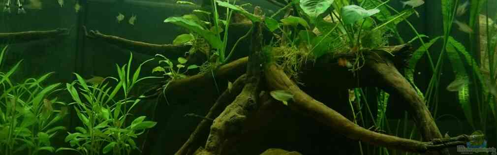 Exemple Nombre 32498