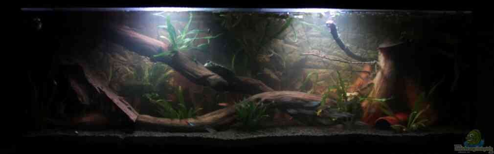 Exemple Nombre 32628