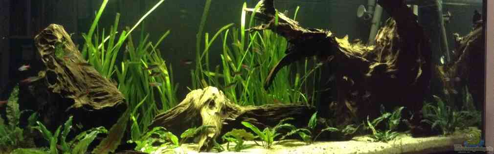 Exemple Nombre 33022