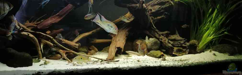 Exemple Nombre 33092