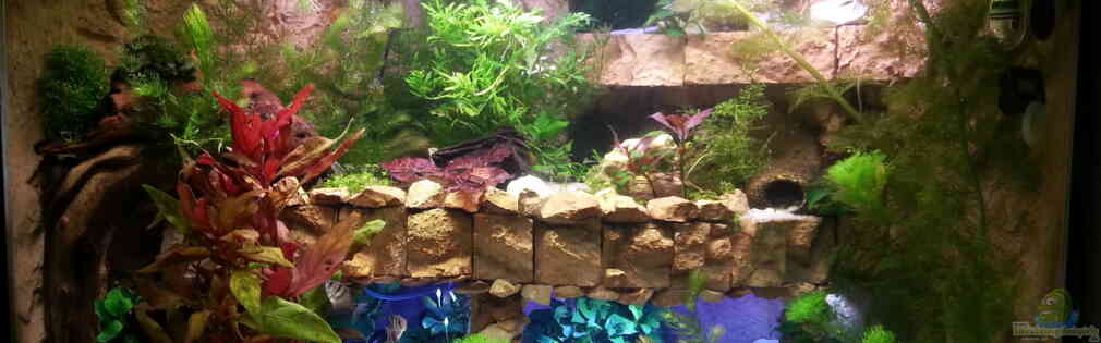 Exemple Nombre 33155