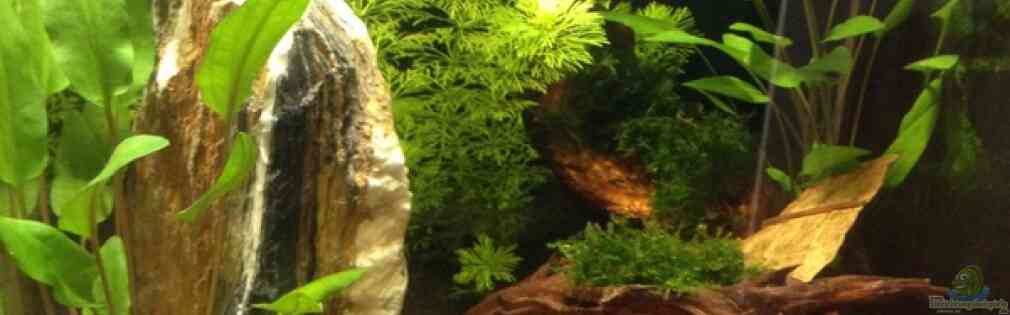 Exemple Nombre 33283