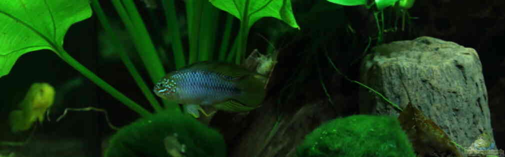 Exemple Nombre 33470