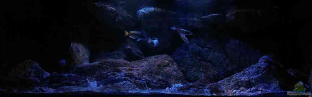 Exemple Nombre 33616