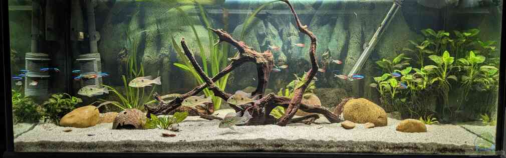 Exemple Nombre 33798