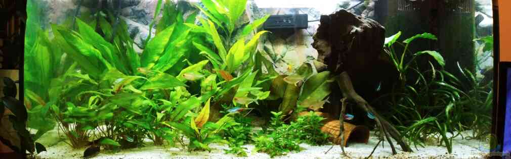 Exemple Nombre 33976