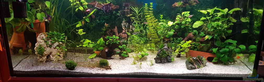 Exemple Nombre 34128