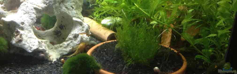 Exemple Nombre 34656