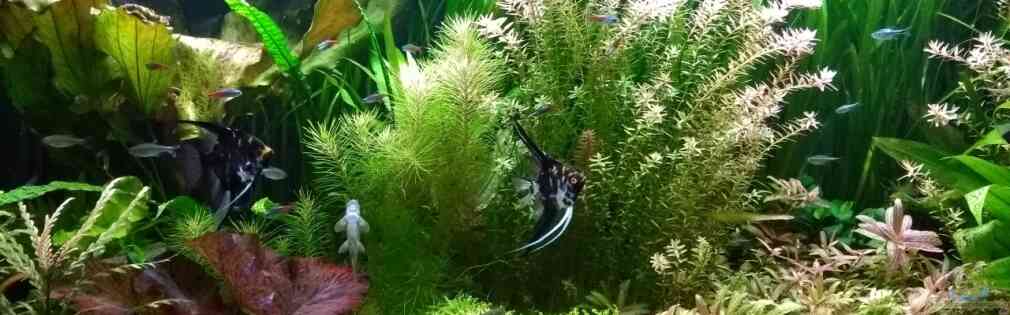 Exemple Nombre 34784