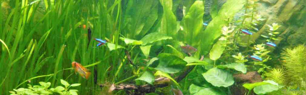 Exemple Nombre 35027