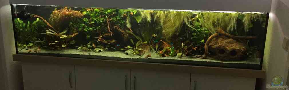 Exemple Nombre 36515