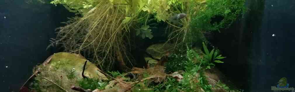 Exemple Nombre 37377