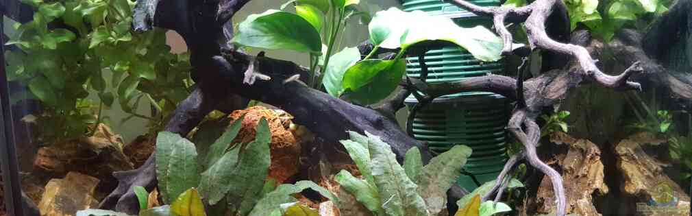 Exemple Nombre 37983