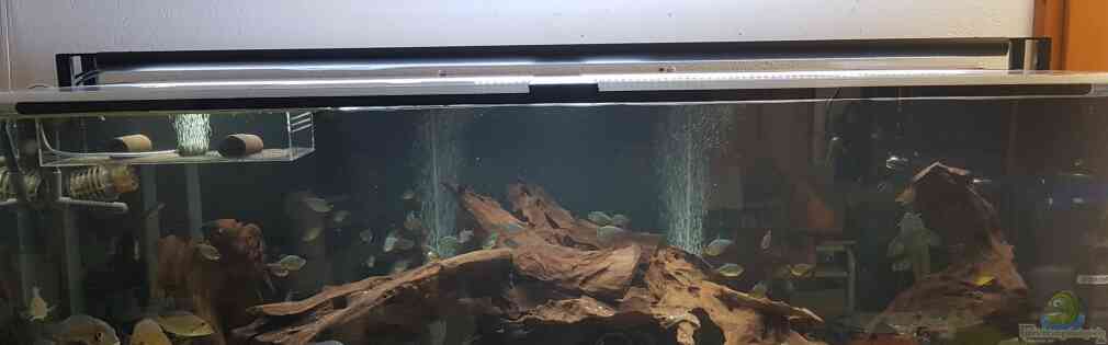 Exemple Nombre 38018