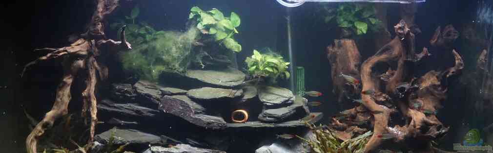 Exemple Nombre 40133