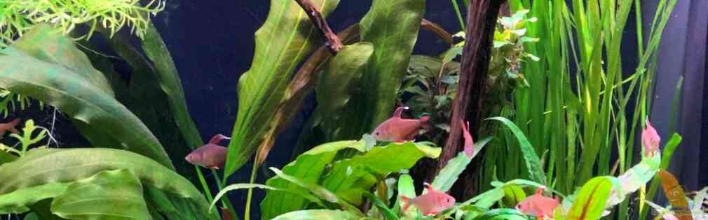 Exemple Nombre 41249