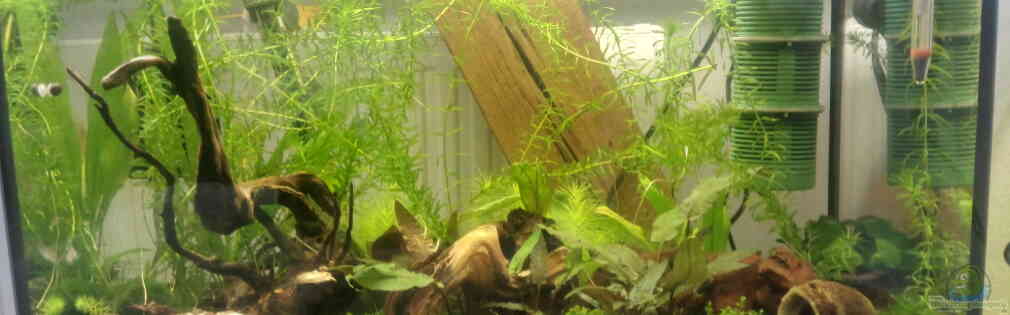 Exemple Nombre 41877