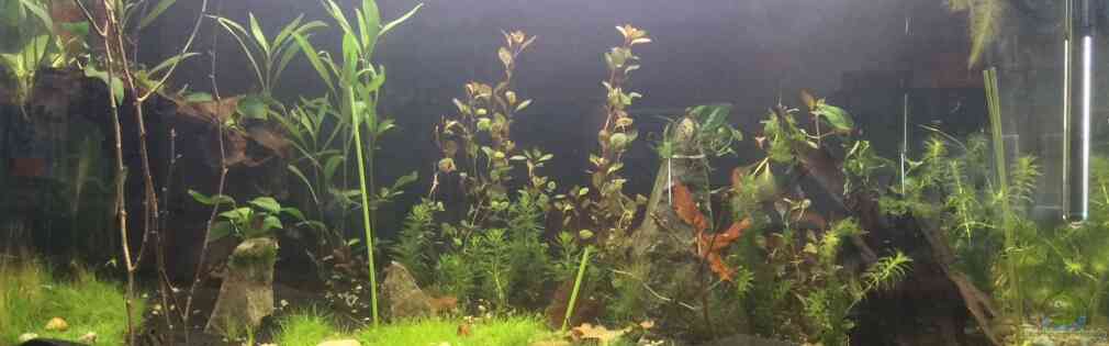 Exemple Nombre 42373