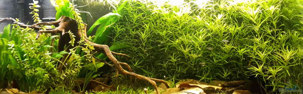 Exemple Nombre 43196