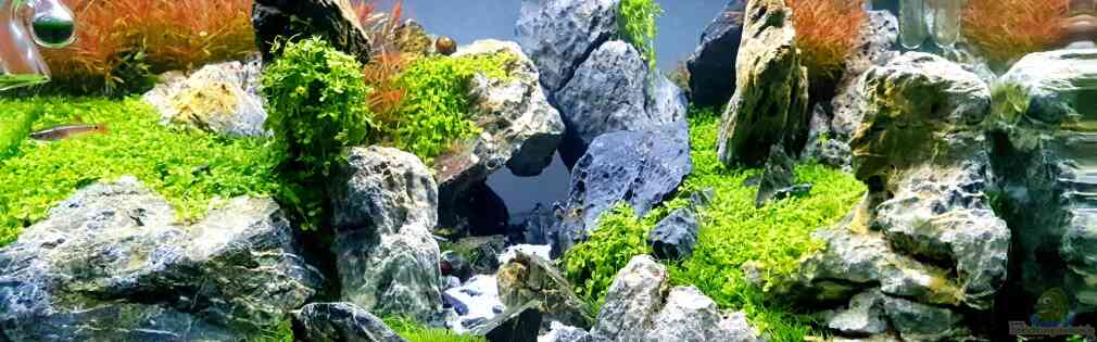 Exemple Nombre 43409