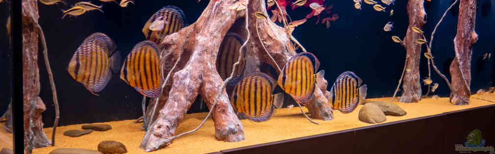 Exemple Nombre 43520