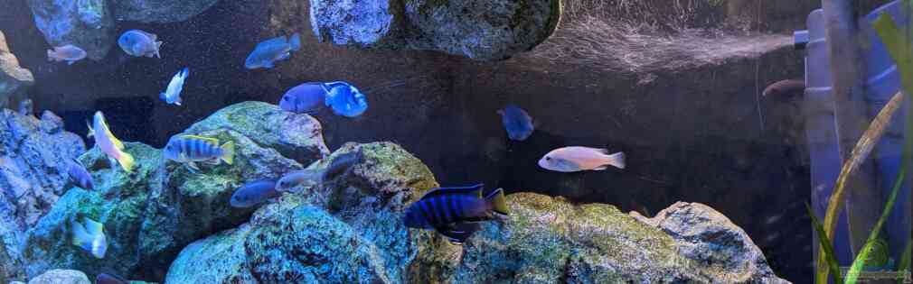 Exemple Nombre 43843