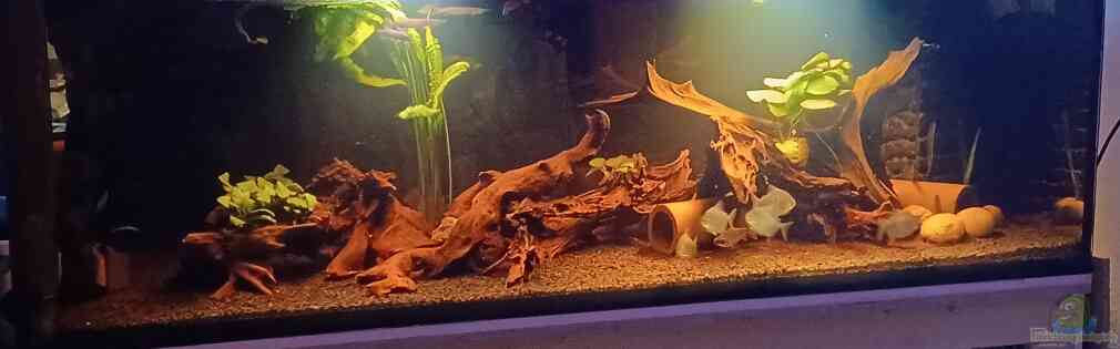 Exemple Nombre 43907