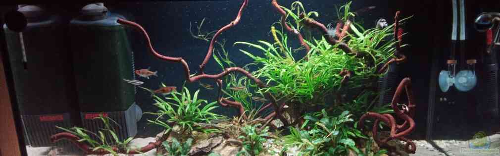 Exemple Nombre 44051