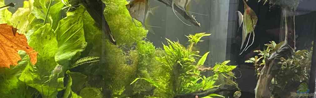 Exemple Nombre 44310