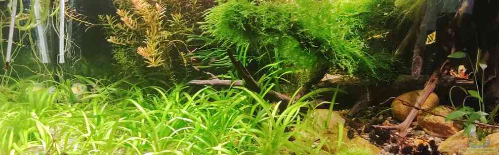 Exemple Nombre 44690