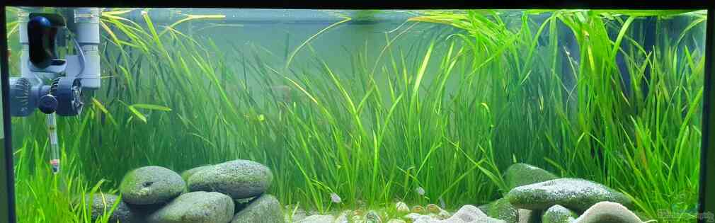 Exemple Nombre 44749