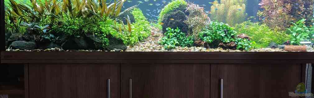 Exemple Nombre 44829