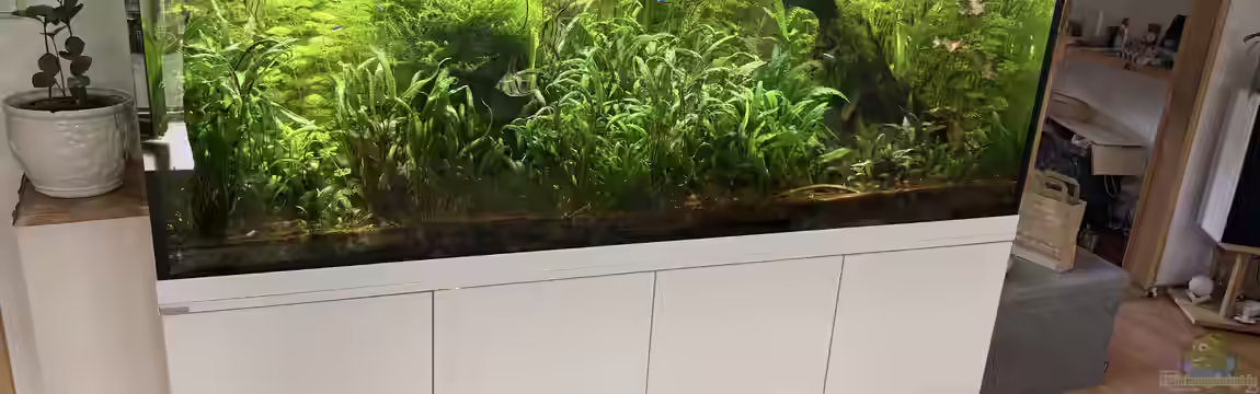 1000L Amazonas von signo